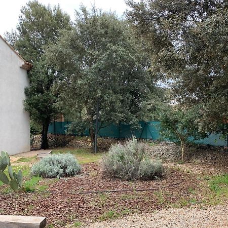 Magnifique Villa Classee 4* Meuble De Tourisme Flassans-sur-Issole Buitenkant foto