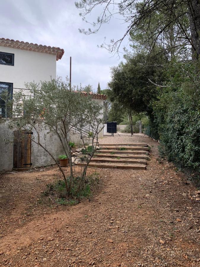Magnifique Villa Classee 4* Meuble De Tourisme Flassans-sur-Issole Buitenkant foto